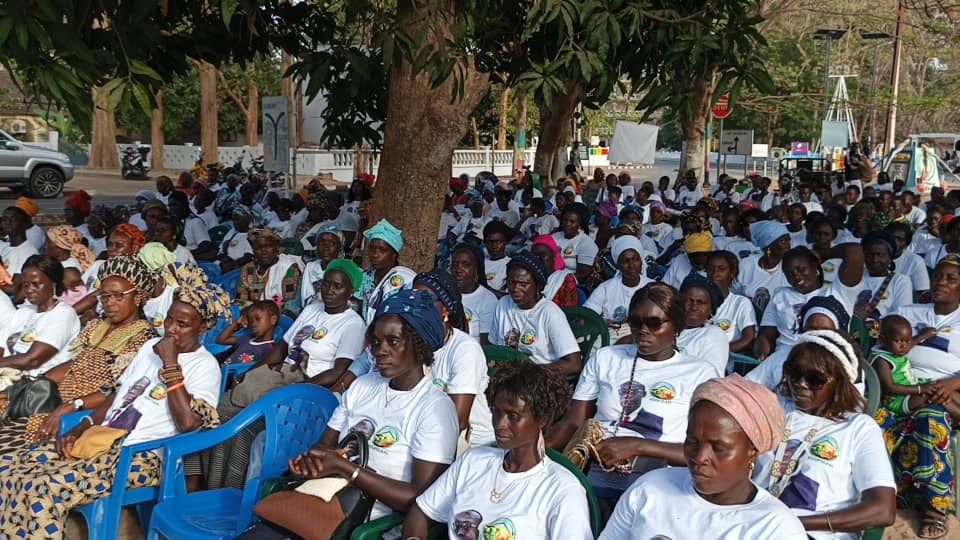 Public venu nombreux sous les arbres